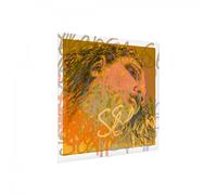 Pirastro Evah Pirazzi Slap Double Bass Synthetic E String 3/4 Size