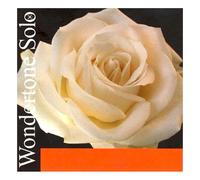 Pirastro Wondertone Solo Violin A String Removable Ball End