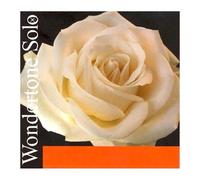 Pirastro Wondertone Solo Violin E String Ball End