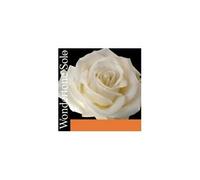 Pirastro Wondertone Solo Violin String E Advanced Steel Ball Med