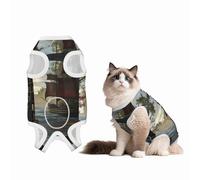 Pirate Ship in Library Dog Surgery Suit Recovery Suit, Breathable Full Body Dog & Cat Surgical Suit with Cute Prints, Alternative to Cone for Spay Neuter Wound Care, Male & Female Pets X-Large