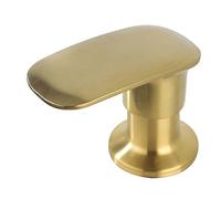 Pirooso 17 OZ Brushed Gold Kitchen Soap Dispenser - Stainless Steel Sink Pump, Zinc Alloy Nozzle for Hand Soap, Dish Soap, Built-in Countertop Use