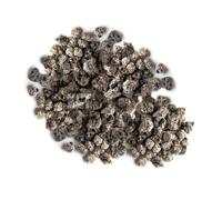 Pisces 2Kg Bag Alfagrog Filter Bio Media