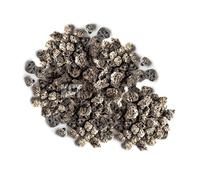 Pisces Alfagrog Biological Filter Media 5kg 5000g 5 Litre Bag Porous Ceramic Stone Bio Media