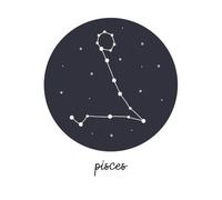 Pisces Women's T-Shirt - White - XXL - White