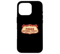 Pisgah National Forest Case for iPhone 16 Pro