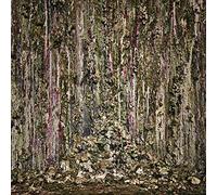 Piss Vortex - Piss Vortex [VINYL]