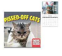 Pissed-off Cats Calendar 2025 | Angry Kitten Calendar | Funny Cat Wall Calendar For Cat Lovers | 12 Monthly Hanging Wall Calendar Planner | Creative Planning Calendar