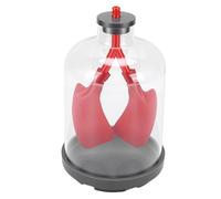 Pissente Lung Function Model, Transparent Diaphragm Movement Simulator for Respiratory Mechanics Demonstration, with Rubber Diaphragms and Anatomical Guide, for Classroom Science Te