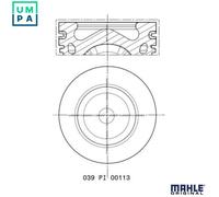 MAHLE 039 PI 00113 000 Piston