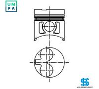 Piston with Rings 40253600 KS 5140 115017490 115017491 115101749