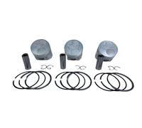 Piston Analyzer With Ring Set Replacement STD Compatible With Johannesburg Engine Ota D722