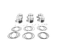 Piston And Rings Set Kit Compatible With A4 A5 A6 A7 A8 Q5 Q7 3.0L V6 24V 3.0 L T 2007-2018