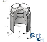 Brake caliper piston Rear Axle Steel 150523-C ERT for RENAULT BMW SUZUKI FIAT VW