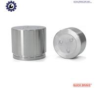 PISTON BRAKE CALIPER 185010 FOR LAND ROVER LR3/III/SUV DISCOVERY/IV RANGE/Mk