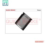 PISTON BRAKE CALIPER 185046K FOR RENAULT MASTER/III/Platform/Chassis/Van/Bus