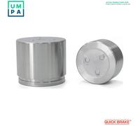 PISTON BRAKE CALIPER 185051 FOR PEUGEOT MANAGER/Platform/Chassis/Van/Bus FIAT