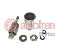 Piston, brake caliper AUTOFREN SEINSA D025684K for FORD USA EDGE 2 2015-2018