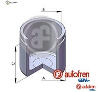 AUTOFREN SEINSA D025109 Brake caliper piston