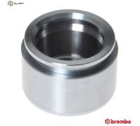BREMBO F PI 151 Brake caliper piston