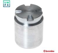 BREMBO F PI 153 Brake caliper piston