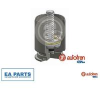 Piston, brake caliper for IVECO EUROCARGO I-III AUTOFREN SEINSA D025363RK