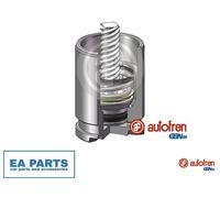 Piston, brake caliper for KIA NIRO PRIDE RIO STONIC AUTOFREN SEINSA D025530K