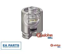 Piston, brake caliper for RENAULT ESPACE LAGUNA MEGANE AUTOFREN SEINSA D025251K