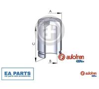 Piston, brake caliper for VW CRAFTER 30-35 Bus AUTOFREN SEINSA D025254