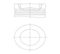 MAHLE 028 PI 00155 001 Piston