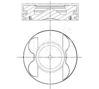 MAHLE 001 PI 00106 000 Piston