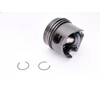 Piston NURAL 87-109811-10 for ARO 10 1.6 1989-1992