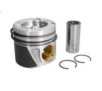NÜRAL 87-433400-10 Piston