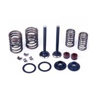 Piston Ring Cylindr Head Valves 64mm INTAKE & EXHAUST Valves Set Spring Assembly For GY6 50cc 60cc 80cc 100cc 139QMB 139QMA Engine Cylinder