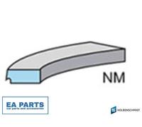 Piston Ring Kit for OPEL ASTRA CLASSIC G ASTRA G KOLBENSCHMIDT 800071810000