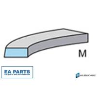 Piston Ring Kit for SMART CABRIO CITY-COUPE KOLBENSCHMIDT 800050310000