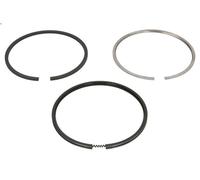 Piston Ring Set NE 8915350000 for FENDT 200 3.77 1997-2003