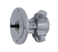 Piston Type Air Motor XS-HS015 Explosion-proof Motor, Vertical/Horizontal Pneumatic Motor Torque 0.96NM Stable Structure