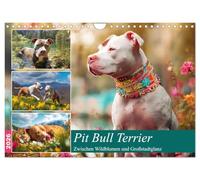 Pit Bull Terrier. Between wildflowers and city glitz UK-Version (Wall Calendar 2026 DIN A4 Landscape), CALVENDO 12 Month Wall Calendar