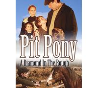 Pit Pony: A Diamond In The Rough