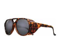 Pit Viper The Landlocked Polarized Sunglasses