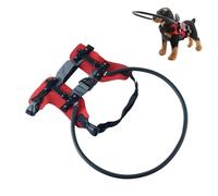 Pitadue Crashproof Protective Collar for Blind Dog Stable Frame Adjustable Guide Harness Enhancing Pet Mobility Aid Adjustable Blind Pet Harness