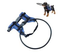 Pitadue Crashproof Protective Collar for Blind Dog Stable Frame Adjustable Guide Harness Enhancing Pet Mobility Aid Adjustable Blind Pet Harness