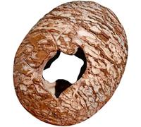 Pitadue Low Maintenance Reptiles Habitat Upgrade Dinosaur Hide Cave with Textured Exterior Terrarium Stress Relief Decor Shrimp Breeding Cave