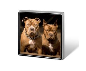 Pitbull Dogs Badge Brooches Unique And Distinctive Square Alloy Emblem Brooch Cute Patterns Casual Clothing Pin For Clothing, Backpacks, Hats, Business Events & Daily Decoration