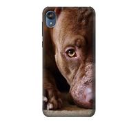 PitBull Face Case Cover For Motorola Moto E6, Moto E (6th Gen)