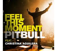 Pitbull Feat. Christina Aguilera - Feel This Moment
