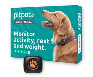 PitPat Dog Activity And Fitness Monitor (No GPS) - No Recharging or Su