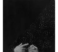Pitre, Duane - The Seeker And The Healer [VINYL]