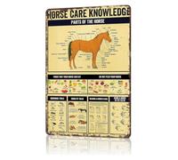 PIUHRKLEVD Classic Vintage Tin Sign Horse Training Basics English Riding Style Cafe Tack Room Decor 8 X 12 inch